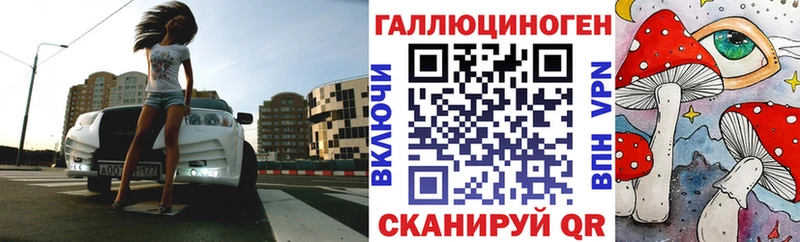 Псилоцибиновые грибы GOLDEN TEACHER  кракен как войти  Тогучин 